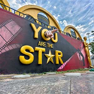 You are the star new show